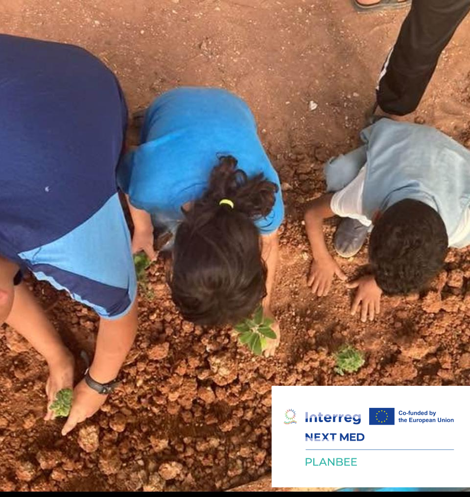 PlanBee: Call for Proposals for an External Financial Auditor – Hand in Hand for Economic Empowerment and Entrepreneurship (Jordan)